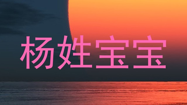 杨姓宝宝