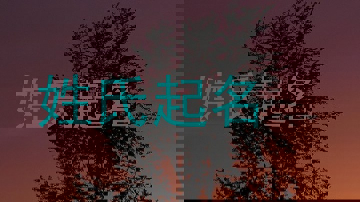 王姓宝宝