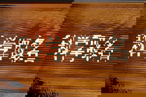 科学取名