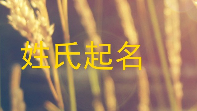 程姓女孩