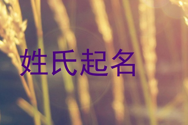 姓氏起名