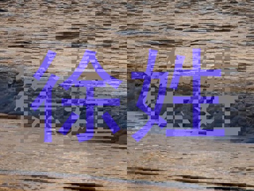 徐姓