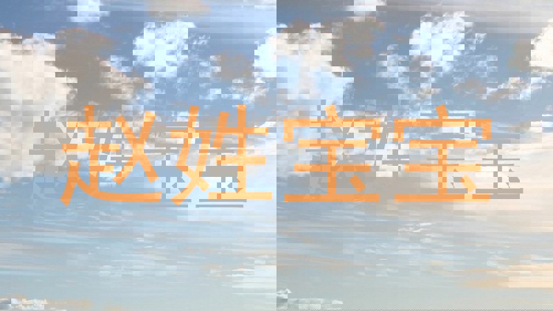 赵姓宝宝