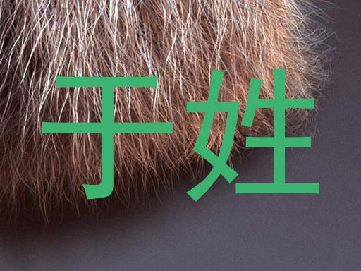 于姓
