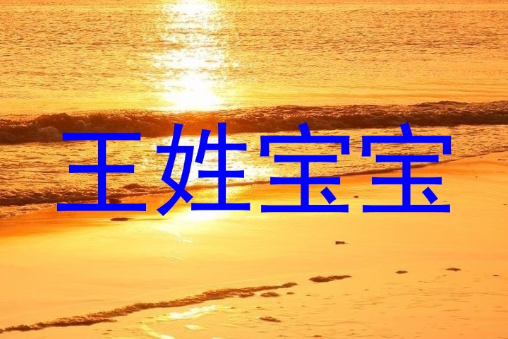 王姓宝宝