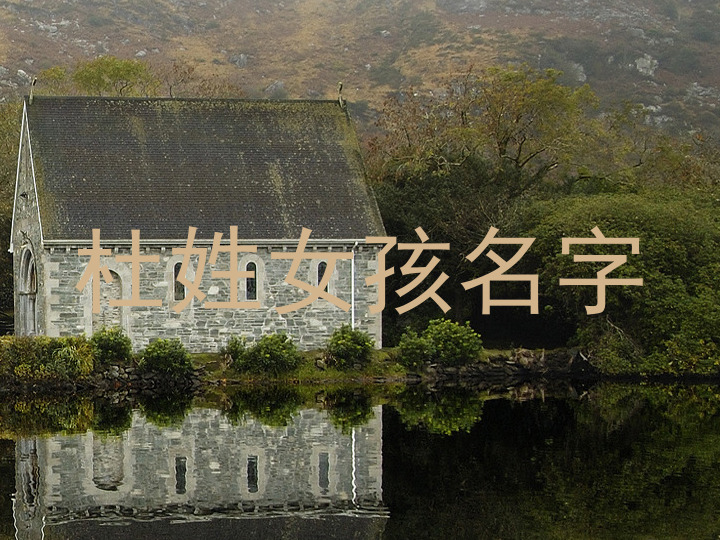 杜姓女孩名字