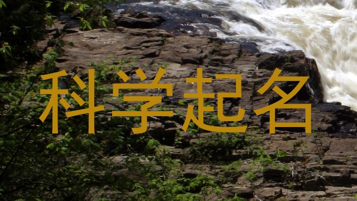 科学起名