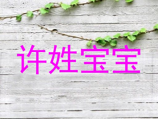 许姓宝宝