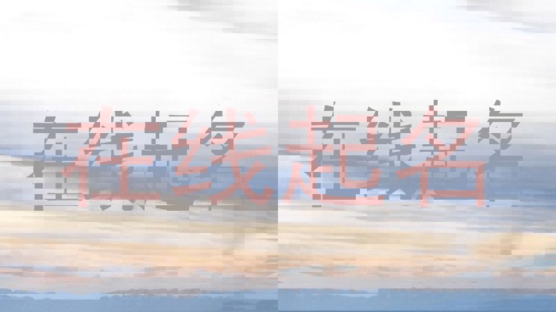 在线起名