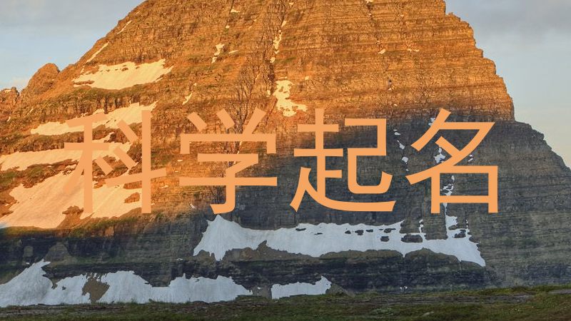 科学起名