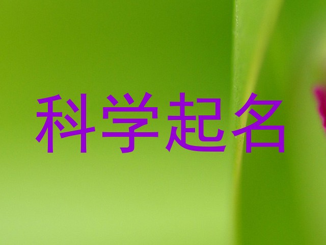 科学起名