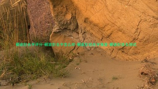 郦家肜名字评分-郦家肜名字怎么样-郦家肜的名字寓意-郦家肜姓名测试