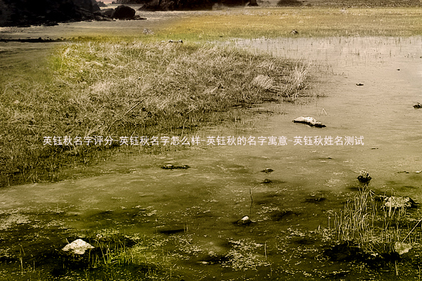 英钰秋名字评分-英钰秋名字怎么样-英钰秋的名字寓意-英钰秋姓名测试
