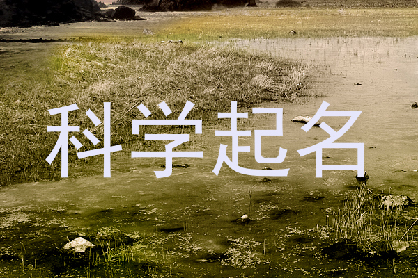 科学起名