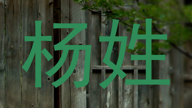 杨姓