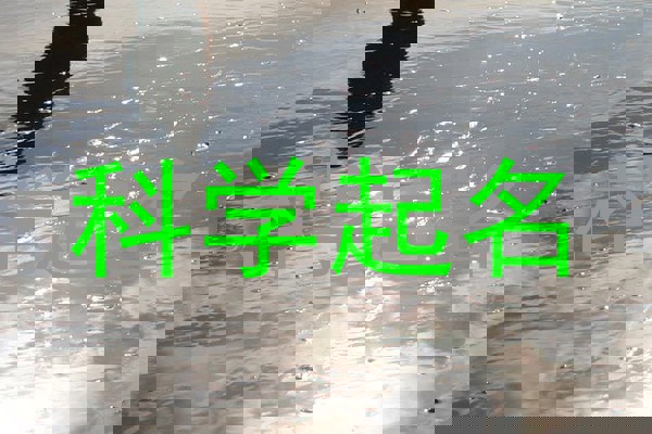 科学起名