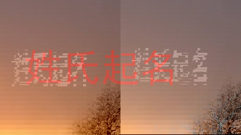 张姓宝宝