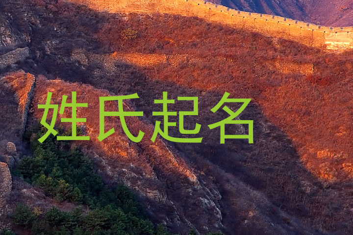 姓氏起名