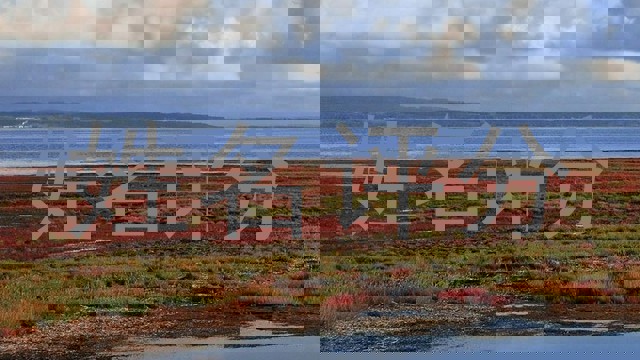 姓名评分