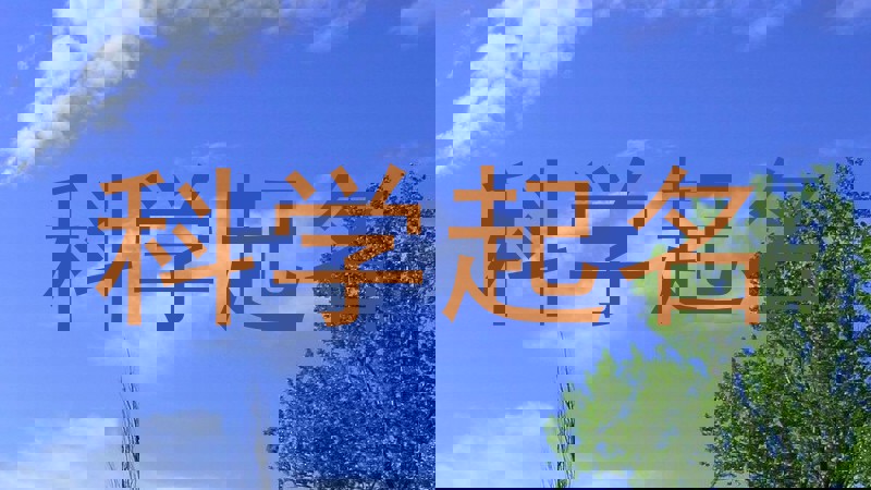 科学起名