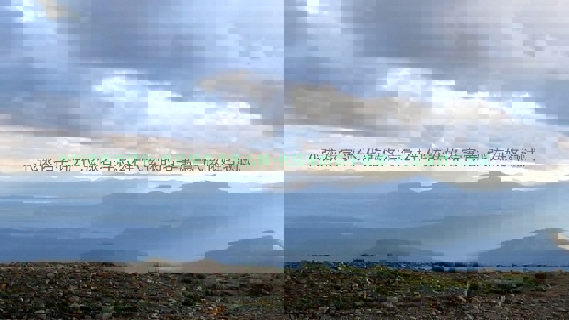 代弦依名字评分-代弦依名字怎么样-代弦依的名字寓意-代弦依姓名测试