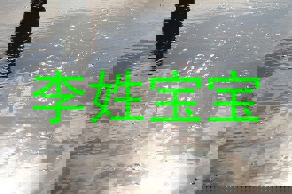 李姓宝宝