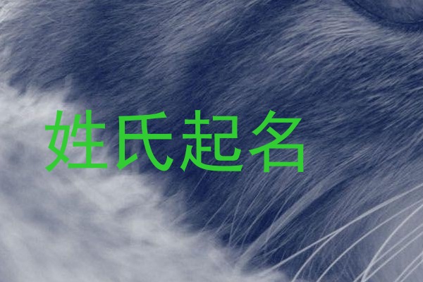 姓氏起名