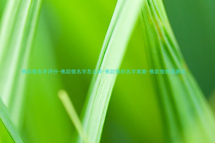 焦歆傲名字评分-焦歆傲名字怎么样-焦歆傲的名字寓意-焦歆傲姓名测试