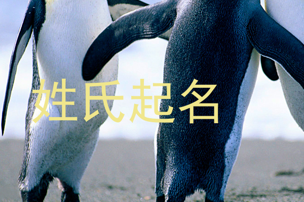 姓氏起名
