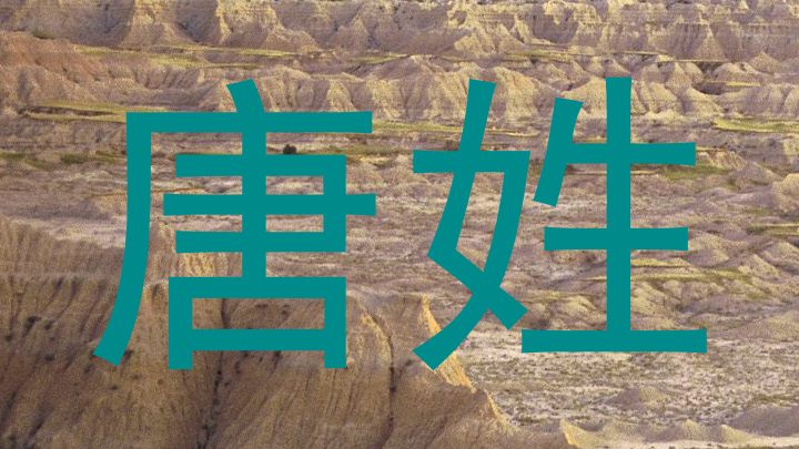 唐姓