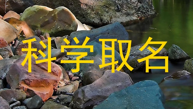 科学取名