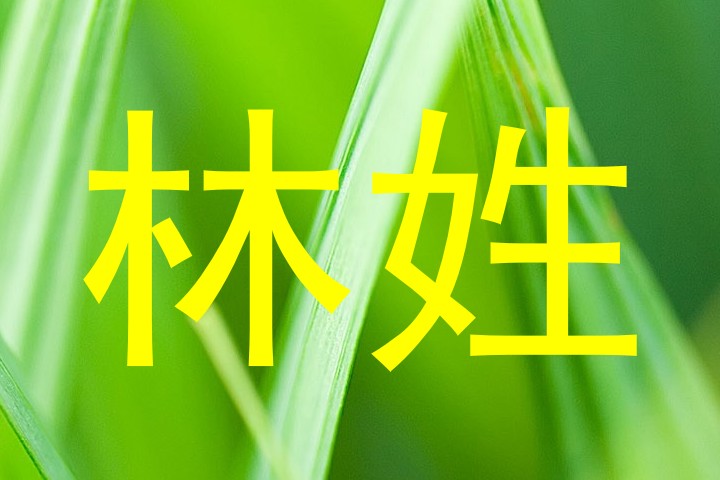 林姓