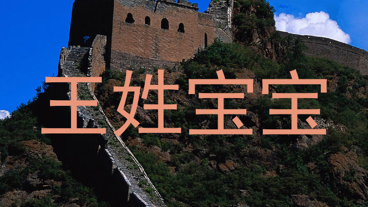 王姓宝宝