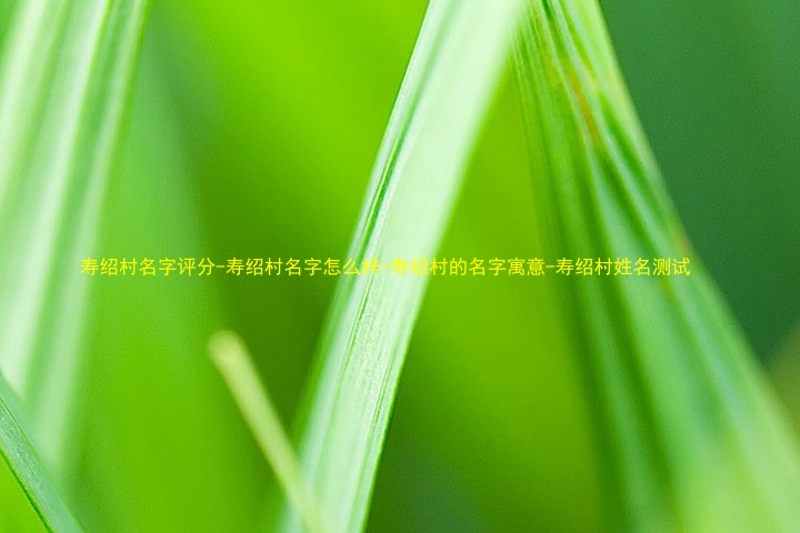 寿绍村名字评分-寿绍村名字怎么样-寿绍村的名字寓意-寿绍村姓名测试