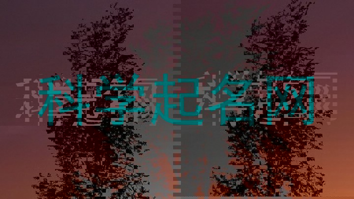 科学起名网