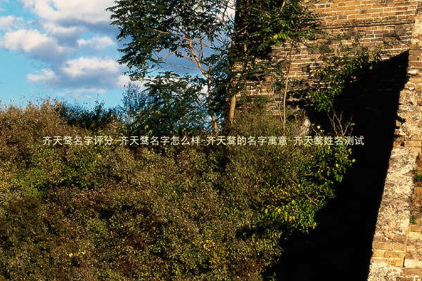 齐天鹜名字评分-齐天鹜名字怎么样-齐天鹜的名字寓意-齐天鹜姓名测试