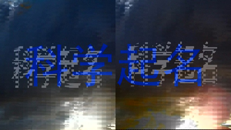 科学起名