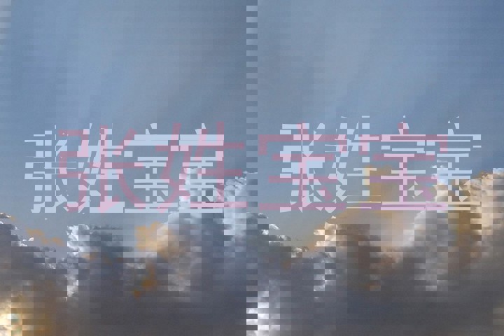 张姓宝宝