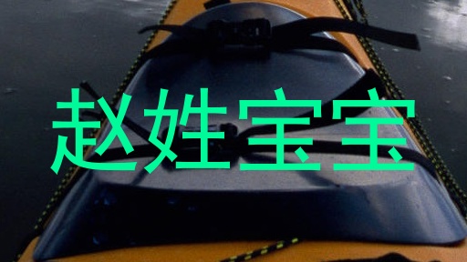 赵姓宝宝