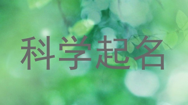 科学起名