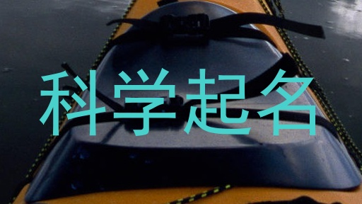 科学起名