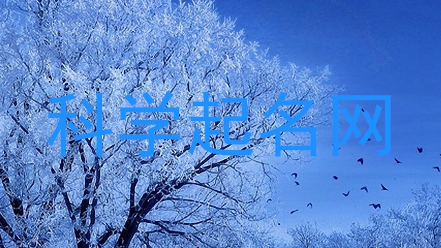 科学起名网