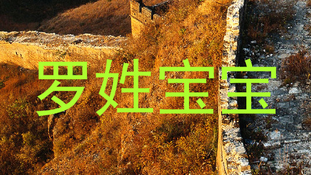罗姓宝宝