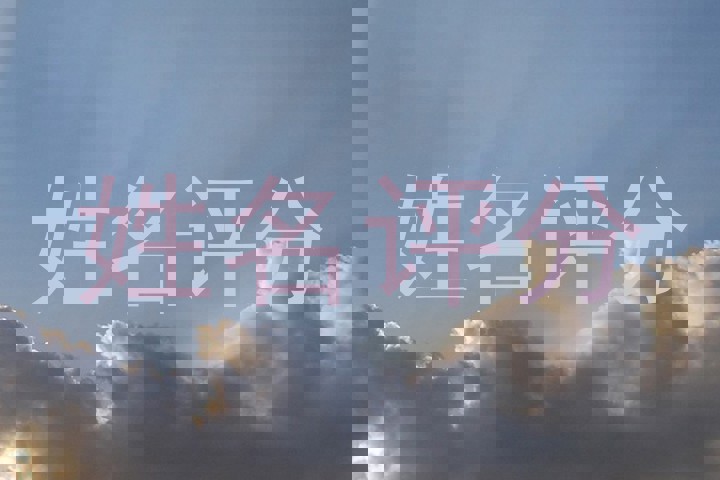 姓名评分