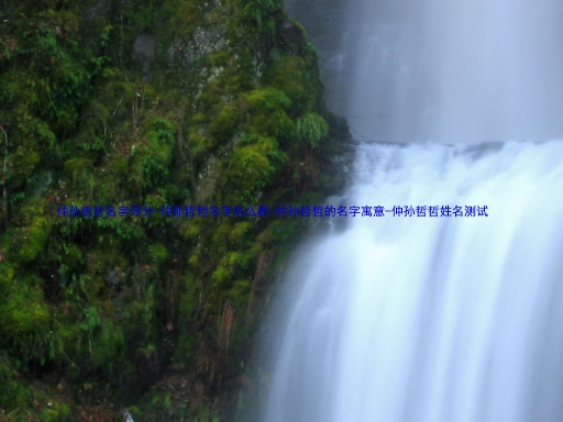 仲孙哲哲名字评分-仲孙哲哲名字怎么样-仲孙哲哲的名字寓意-仲孙哲哲姓名测试
