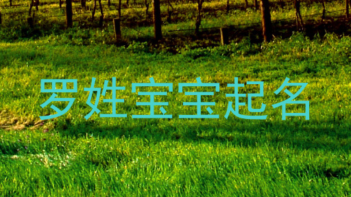 罗姓宝宝起名