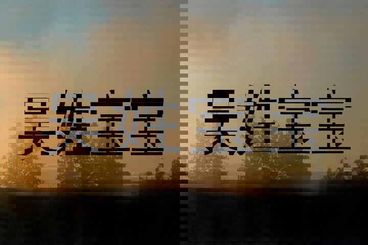 吴姓宝宝