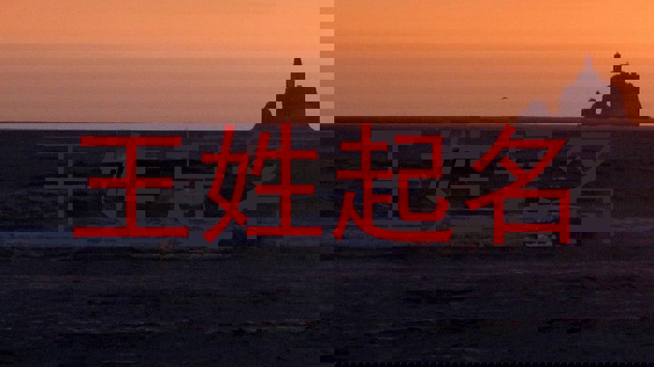 王姓起名