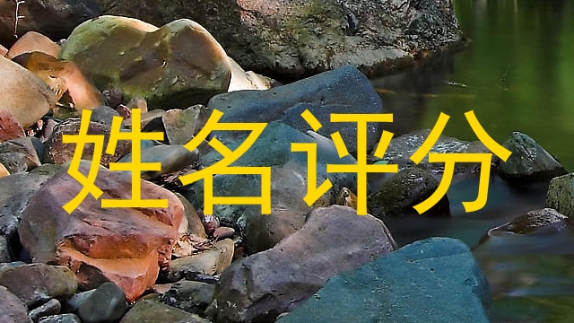 姓名评分