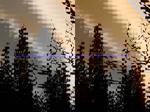 简纪新名字评分-简纪新名字怎么样-简纪新的名字寓意-简纪新姓名测试